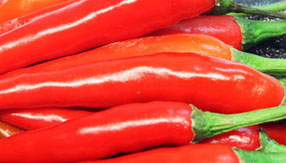 免费网络电话在线使用