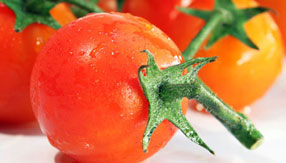 手机号码轰炸机免费版